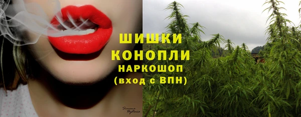 бошки Абаза