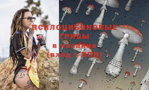 бошки Абдулино